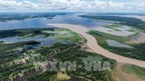 WFP: Khủng hoảng khí hậu ảnh hưởng nghiêm trọng đến an ninh lương thực