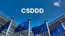 EU lùi thời hạn thực thi thẩm định tính bền vững của doanh nghiệp thêm một năm