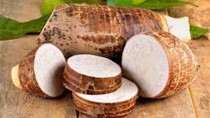 Doanh nghiệp Đài Loan tìm nhà cung ứng khoai môn cắt lát