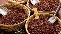 Xuất khẩu cà phê, cao su sang EU khả quan