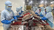Chiến lược đưa nông sản Việt tăng tốc vào EU