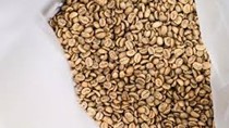 [Bài 2] Cuộc đua săn lùng 'mặt hàng xa xỉ' mang tên cà phê đặc sản tại Thái Lan