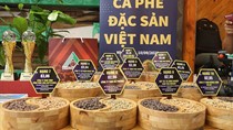 Giá cà phê tăng cao: Cơ hội để HTX nâng tầm bằng cà phê đặc sản Hợp tác xã 