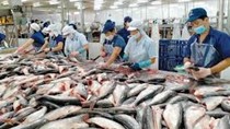 Xuất khẩu cá tra năm 2026 có thể tăng 9%?