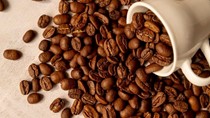 Cà phê bước vào chu kỳ tăng giá mới trên thị trường quốc tế