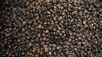 Thị trường nông sản: Lý do giá cà phê trên thế giới tăng vọt