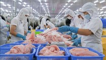 Xuất khẩu cá tra dự báo đạt gần 2,2 tỷ USD