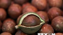 Venezuela thúc đẩy xuất khẩu cacao và cà phê sang Trung Quốc