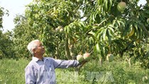 Xuất khẩu nông, lâm, thủy sản 4 tháng tăng 5,4%