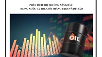 Phân tích thị trường xăng dầu trong nước và thế giới tháng 1 năm 2026 và dự báo