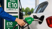 85 câu hỏi giải đáp thắc mắc của người tiêu dùng về xăng E10