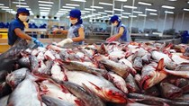 Hợp tác thủy sản Việt Nam - Ấn Độ được kỳ vọng sẽ bước sang giai đoạn phát triển mới