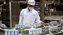 Ngành sữa Việt Nam còn nhiều dư địa tăng trưởng từ thị trường nội địa