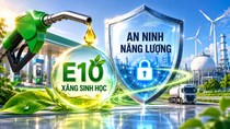 Xăng E10: Cần nhìn đúng bản chất của chủ trương phát triển nhiên liệu sinh học