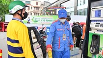 Hầu hết xe xăng tương thích E10, tạo dư địa mở rộng ngành nhiên liệu sinh học