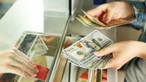 Sáng 25/6: NHNN niêm yết tỷ giá trung tâm ở mức 25.197 đồng