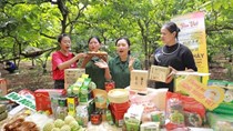 Giải pháp chuyên sâu để thương mại điện tử xuyên biên giới "tăng tốc"
