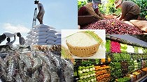 Vượt thách thức bằng tư duy kinh tế để đạt 100 tỷ USD xuất khẩu nông sản