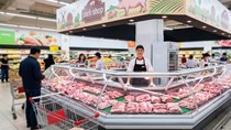 Giá heo hơi hôm nay 5/8: Thị trường tiếp tục lùi nhẹ tại nhiều nơi