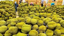 178 loại thực vật và sản phẩm thực vật Việt Nam được phép nhập khẩu vào Đài Loan