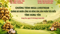 Thương mại điện tử tiếp sức tiêu thụ nhãn lồng Hưng Yên