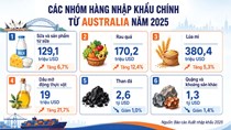 Dư địa lớn thúc đẩy thương mại với Australia, New Zealand