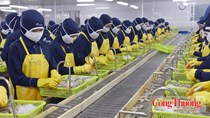 Xuất khẩu sang EU: Bao bì trở thành bài toán mới