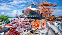 Thuỷ sản Việt Nam hướng tới mốc 12 tỷ USD nhờ sức bật từ thị trường châu Á