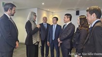 Việt Nam - Nam Phi mở rộng dư địa hợp tác kinh tế