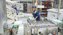 Nâng tầm thương hiệu, gia tăng giá trị Việt