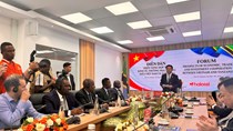 Việt Nam - Tanzania mở rộng dư địa hợp tác kinh tế, thương mại