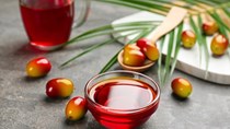 Sản lượng sụt giảm cùng tiêu thụ nội địa tăng kỷ lục sẽ thắt chặt nguồn cung dầu cọ Indonesia