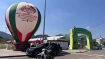 Lễ hội Cà phê Sơn La 2026: Đưa Arabica vươn tầm thế giới