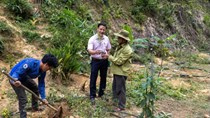 Chuyển đổi số giúp nâng giá trị nông sản và dược liệu ở miền núi Đà Nẵng