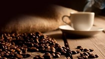 Giá cà phê trong nước ngày 10/11/2017