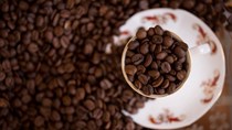 Giá cà phê trong nước ngày 26/10/2017