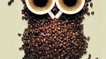 Giá cà phê trong nước ngày 19/12: Giảm nhẹ 100 đồng/kg