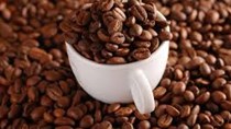 TT cà phê ngày 18/5: Tiếp tục tăng 200 đồng/kg