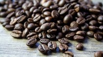 Giá cà phê trong nước ngày 15/11/2017