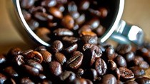 Thị trường cà phê tháng 10/2019: Giá giảm mạnh 1.100 – 1.600 đồng/kg