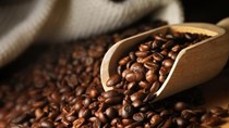 Giá cà phê trong nước ngày 16/10/2017