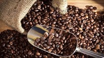Giá cà phê arabica ngày 02/11 tăng do đồng real hồi phục, ca cao chạm đỉnh 6 tuần