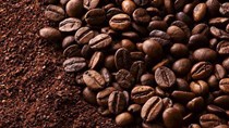 Giá cà phê arabica xuống mức thấp mới kể từ năm 2013, đường tăng trở lại