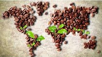 Giá cà phê trong nước ngày 10/1: Tăng vượt dự đoán