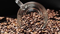 TT cà phê ngày 14/12: Tiếp tục lao dốc, giá tại Đắk Nông giảm sâu