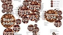 TT cà phê tuần đến ngày 16/02: Sụt giảm so với phiên đầu tuần về 32.700 – 33.400 đồng