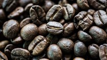 TT cà phê ngày 25/7: Giá giảm nhẹ lui về 32.600 – 33.700 đồng/kg