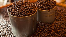TT cà phê ngày 05/9: Hồi phục, giá nhiều tỉnh Tây Nguyên lấy lại mốc 33.000 đồng/kg