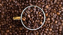 TT cà phê ngày 19/7: Nhích thêm 100 đồng, giá nhiều nơi chạm mốc 34.000 đồng/kg