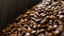 TT cà phê ngày 15/7: Giá không đổi, chốt dưới mức 34.000 đồng/kg